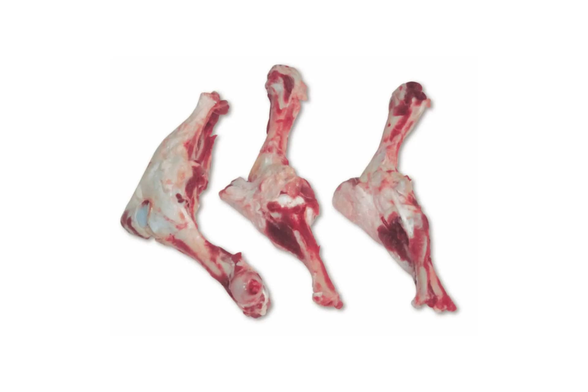 2 Joint Leg Bone (4806), photographed on a plain white background.