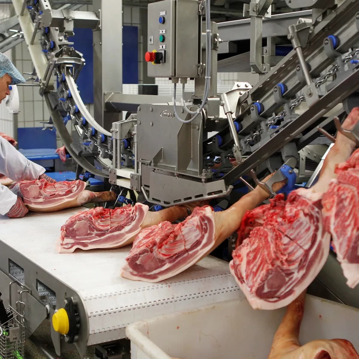 Operators in white coats and hairnets trimming bone-in loin racks on a conveyor in a cutting hall, with overhead rails and stainless equipment behind.