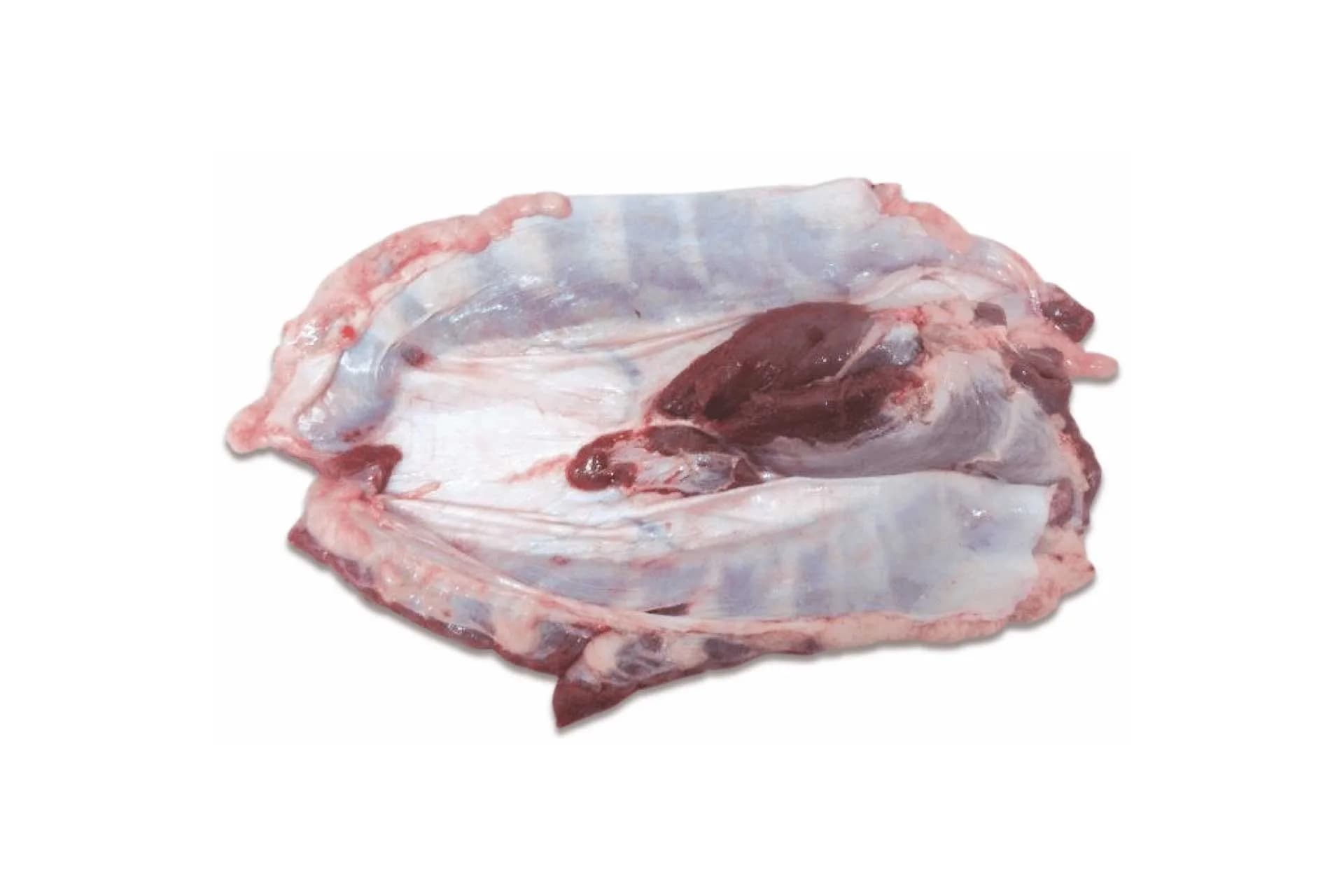 Diaphragm (6002), photographed on a plain white background.