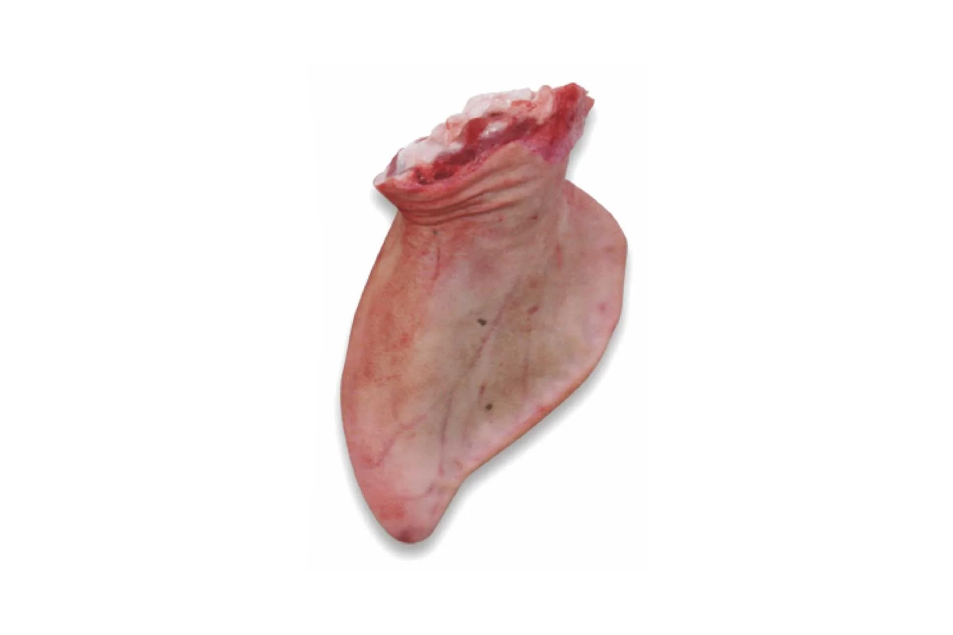 Ear (8102), a second view of the same cut.