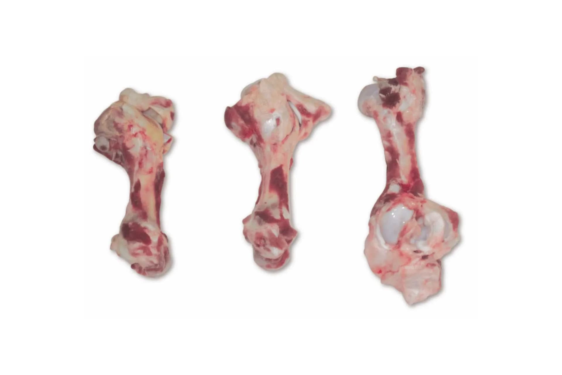 Femur Bone Cap On (4804), photographed on a plain white background.