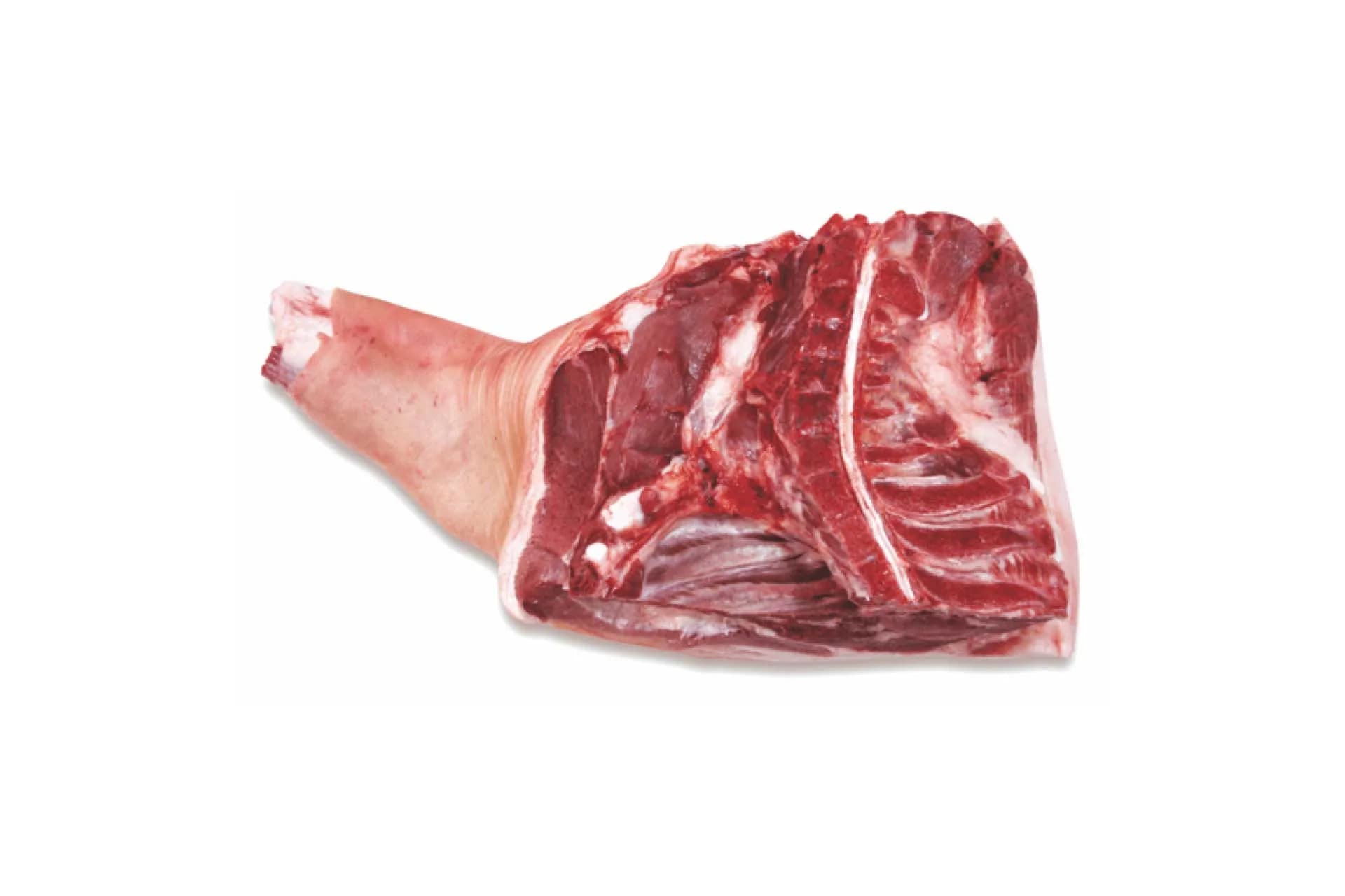 Fore-End (3500), bone-in, rind-on, photographed on a plain white background.