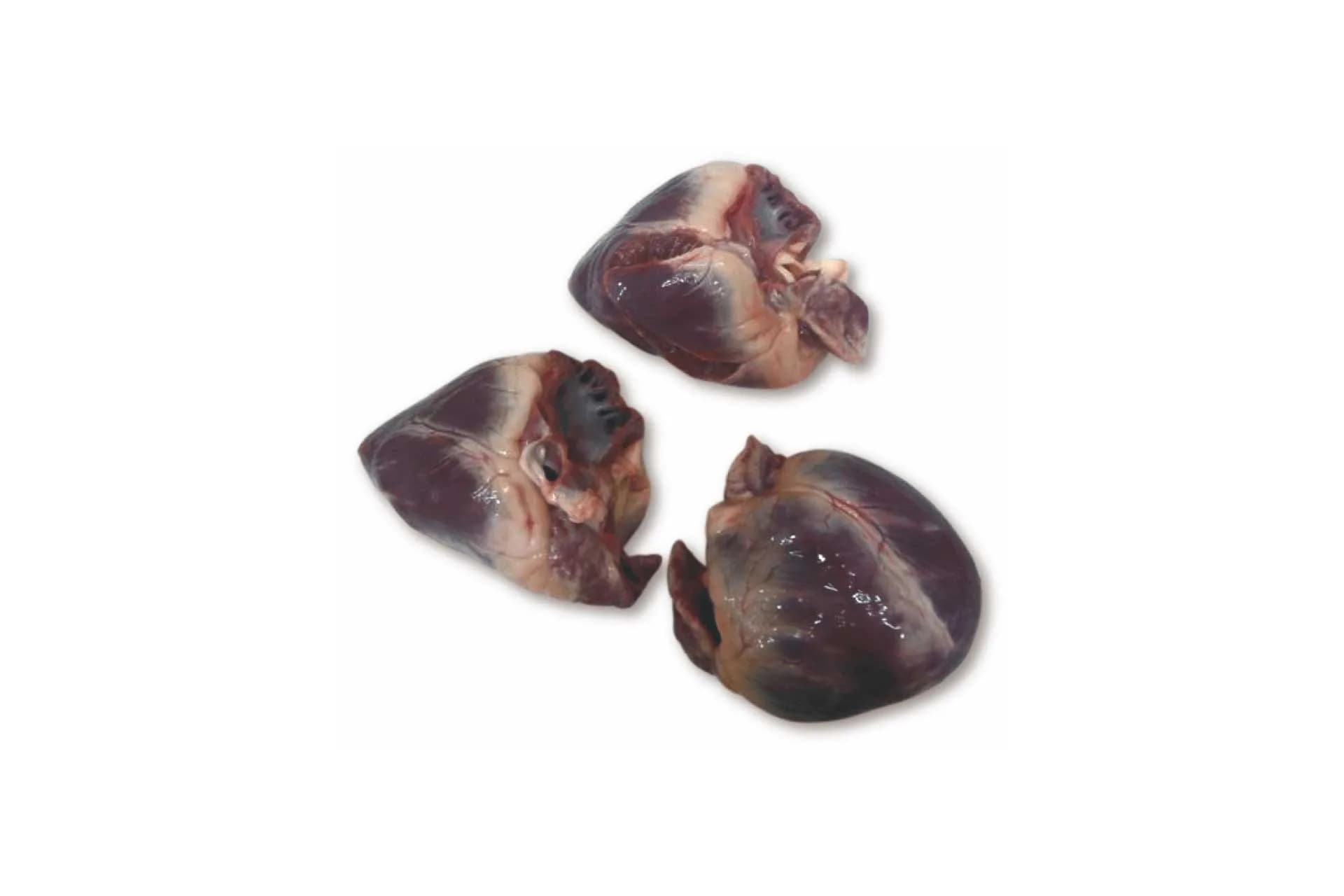 Heart (6004), photographed on a plain white background.