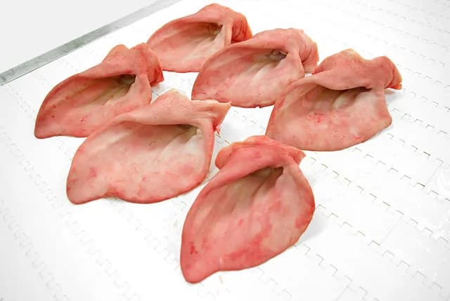 Pork ears seen from above, showing the outer surface and trimmed edges.