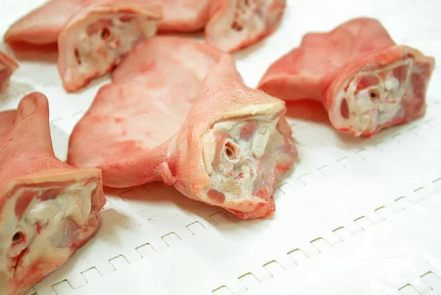 Close view of pork ears showing the cut base with cartilage and the ear canal.