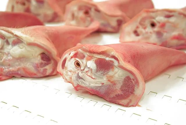 Pork ears at an angle on the conveyor, the cut face in the foreground in sharp focus.