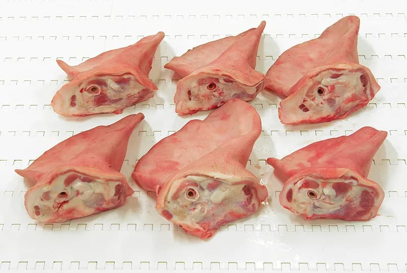 Six pork ears laid out in two rows on a white conveyor, cut base showing the ear canal.