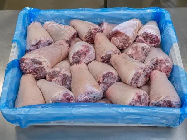 Frozen pork hocks packed upright in a blue-lined crate, cut faces showing bone and surrounding meat.
