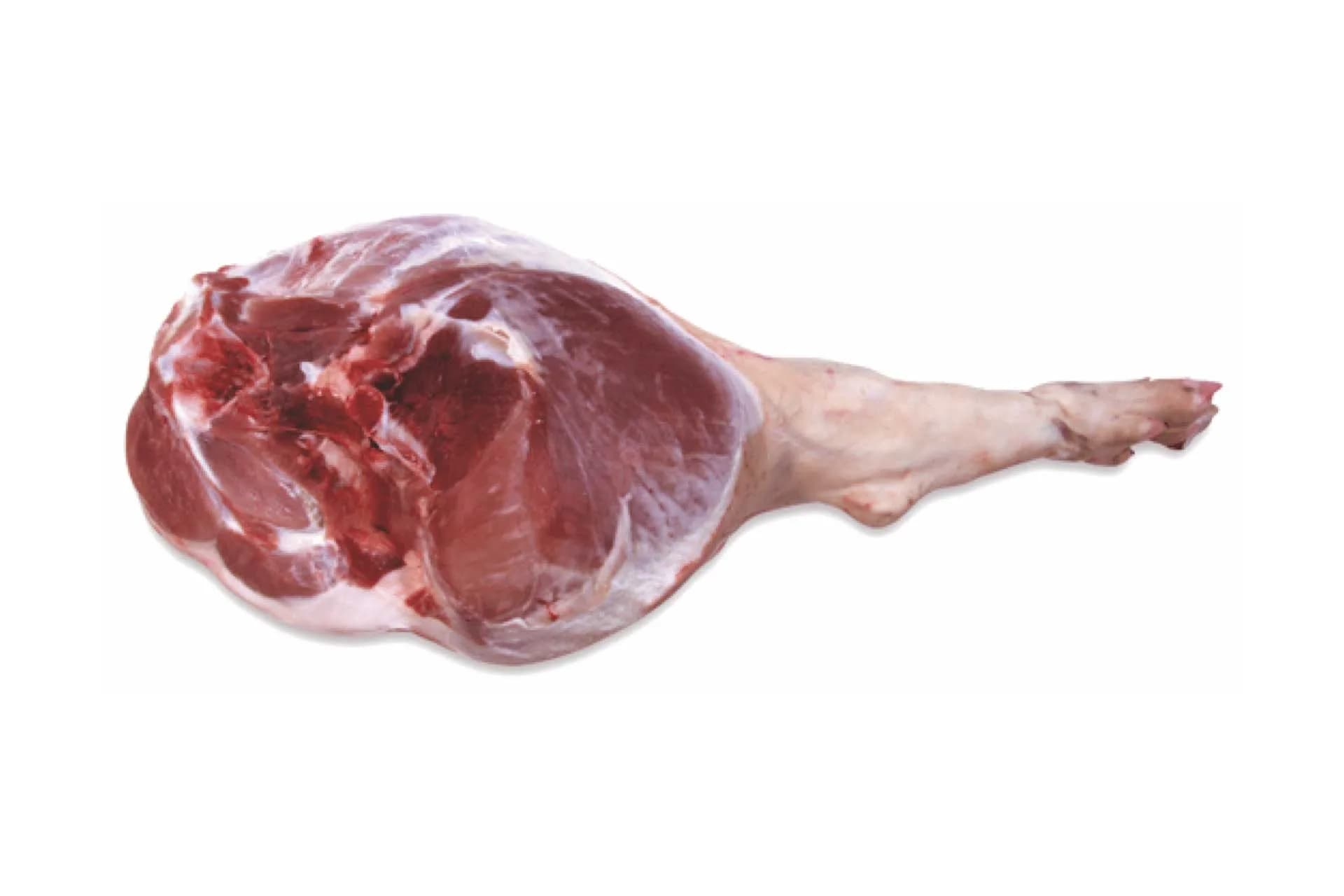 Round Cut Leg (4100), bone-in, rind-on, photographed on a plain white background.
