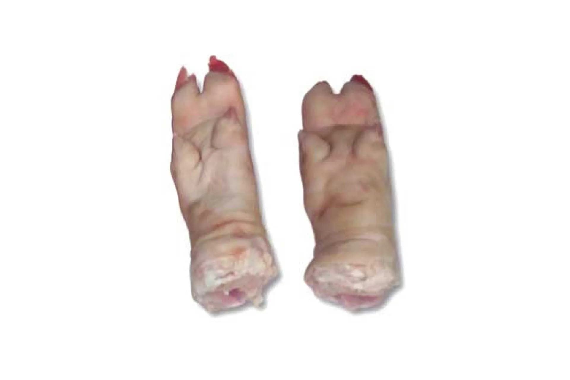 Short Cut Hind Feet (4701), segunda vista del mismo corte.