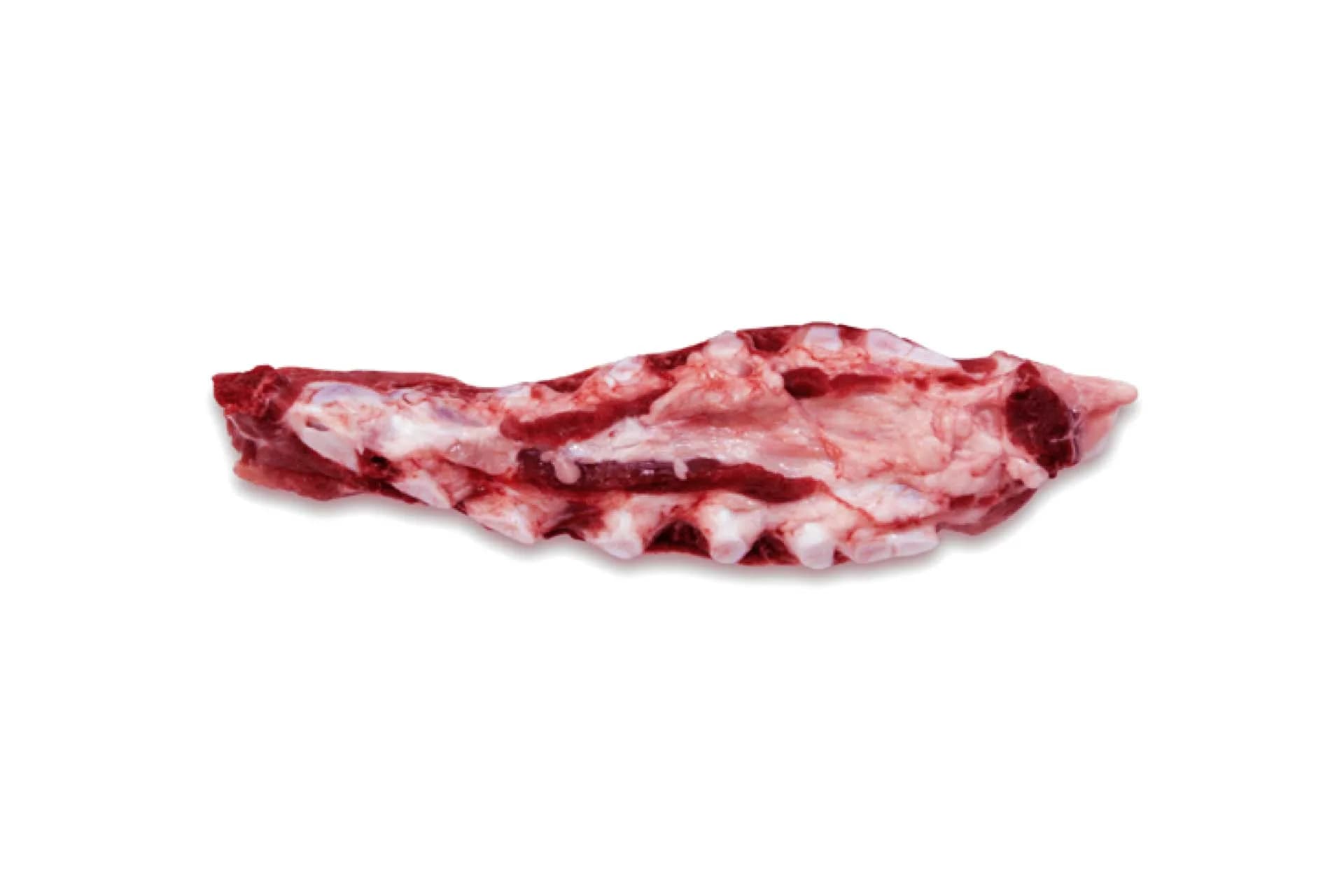 Sternum Bone (2400), photographed on a plain white background.