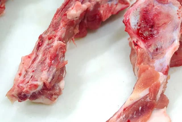 Detail of a cut pork tail bone showing the exposed bone section and marrow.