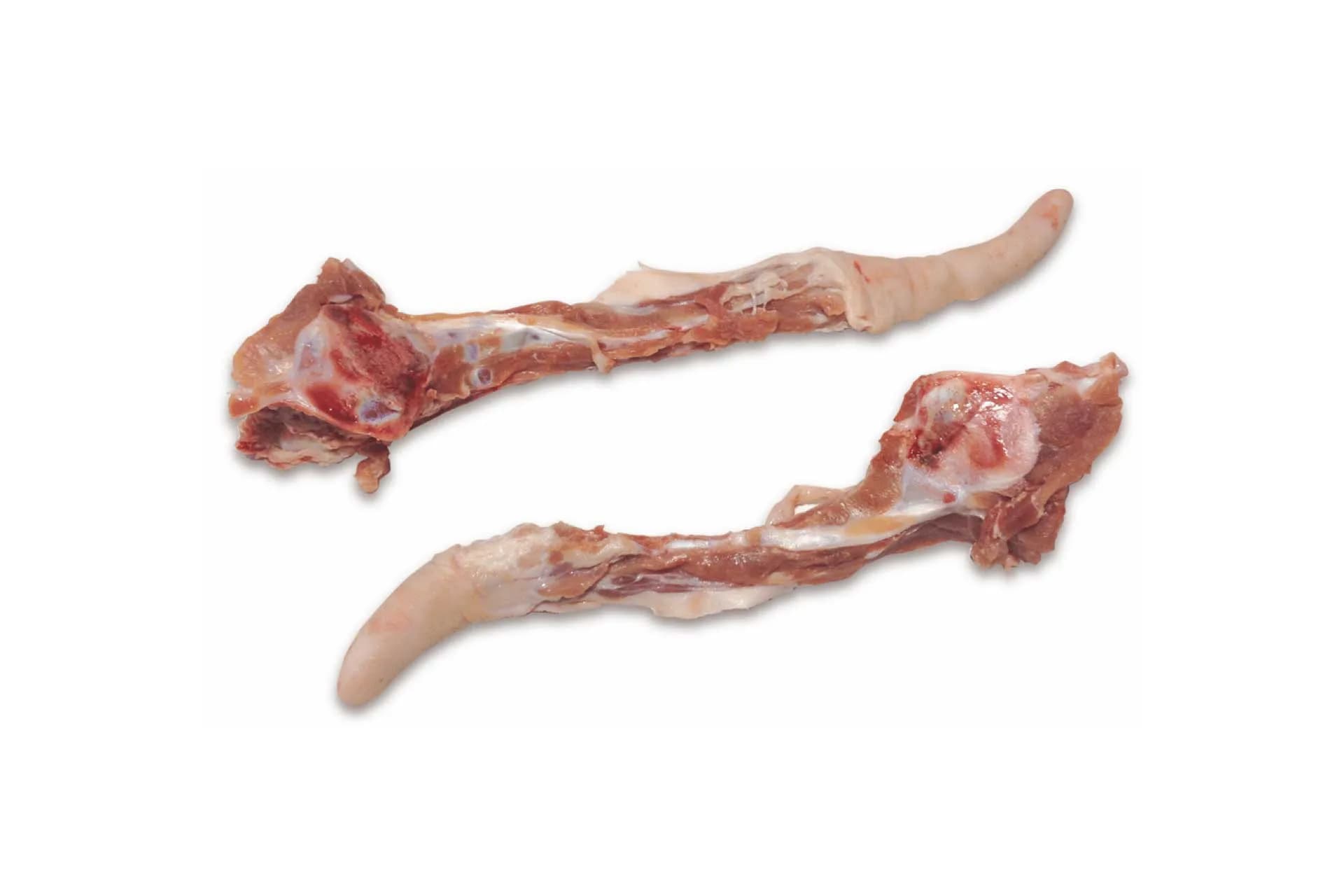 Tail Bone with Tail (4801), photographed on a plain white background.