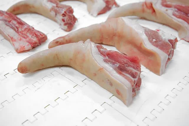 Long-cut pork tails with tail bone and adhering meat, laid out on a white processing conveyor.